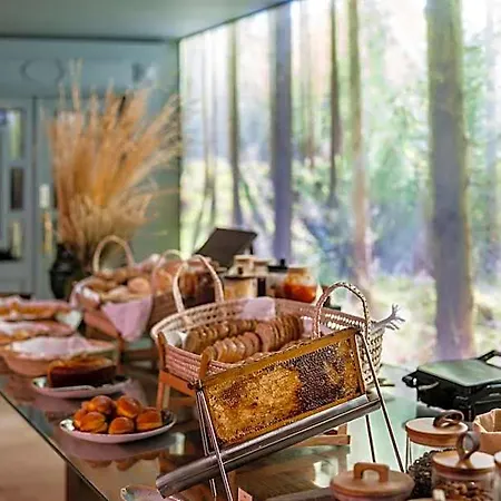 Hotel Grande Thermas Nature &