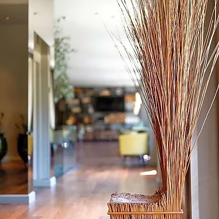 Hotel Grande Thermas Nature & Vouzela